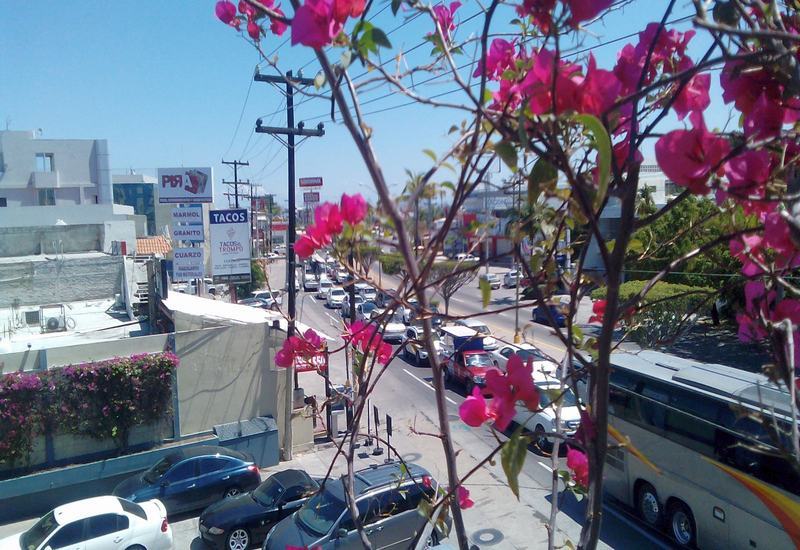 Hotel มาซาตลัน ภายนอก รูปภาพ